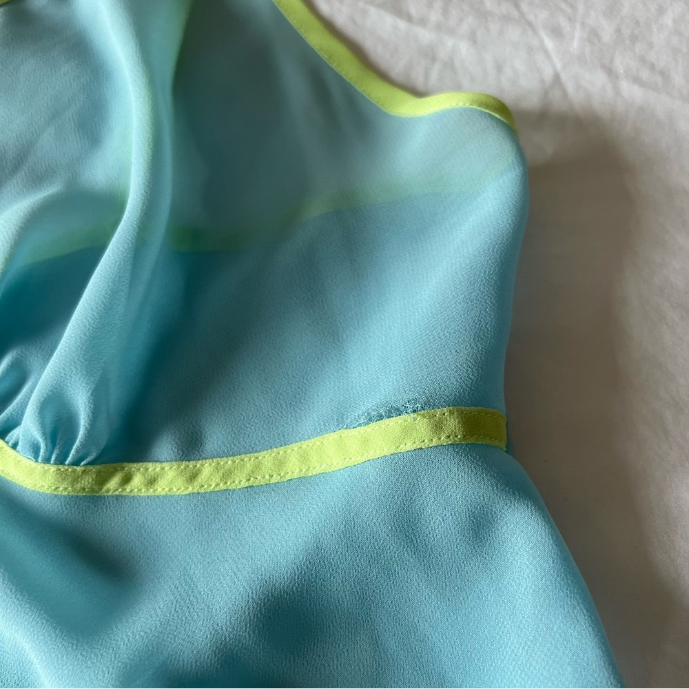 Vintage Sheer Mini Dress - Picture 8 of 8
